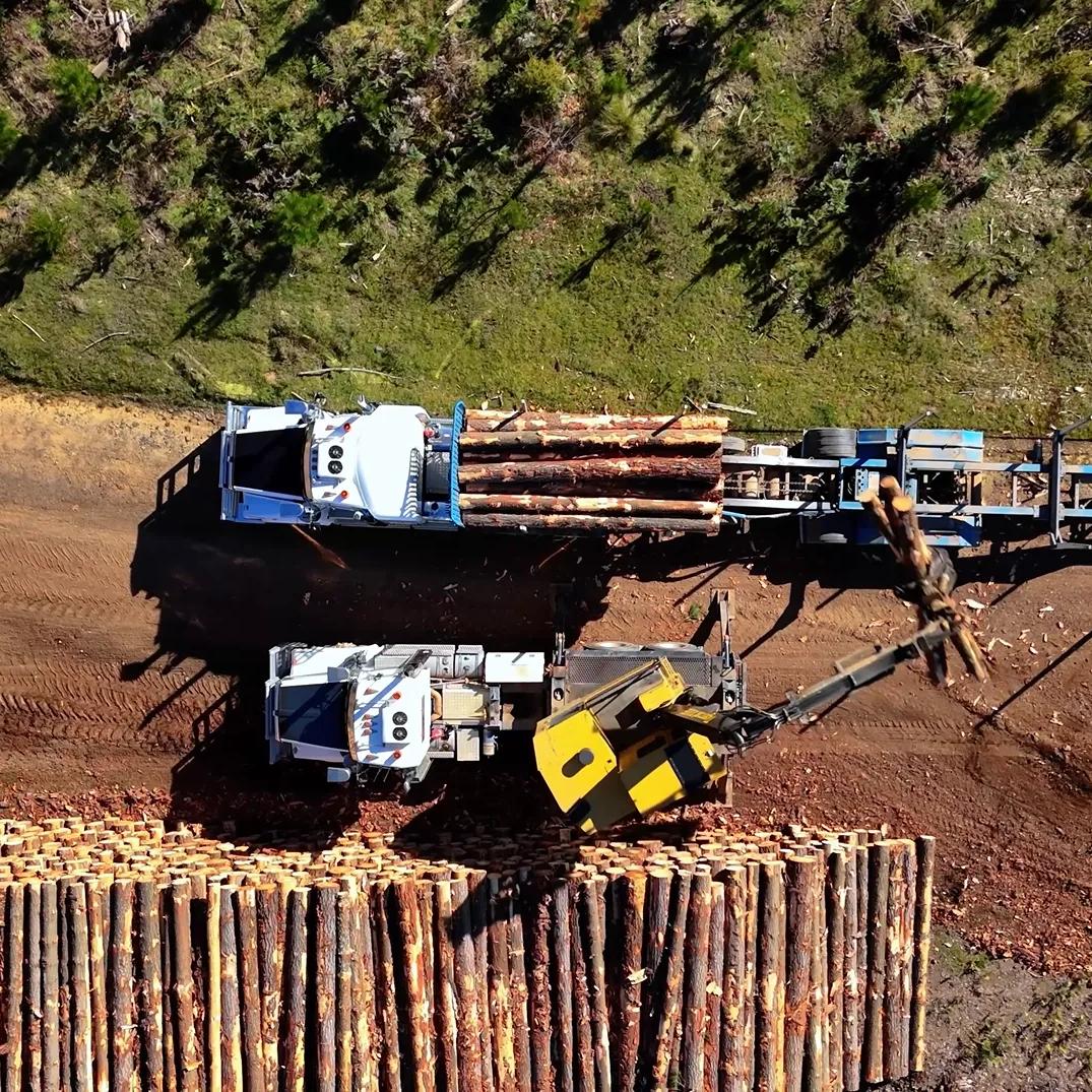 Aerial view of timber logs being loaded onto a logging truck at a forestry site