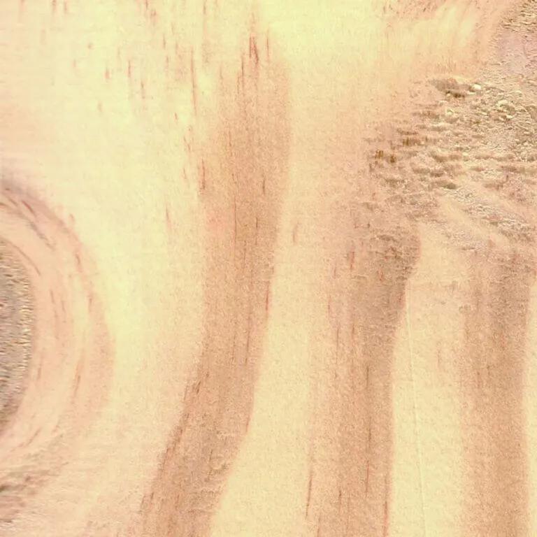 Close-up swatch of general purpose wood grain