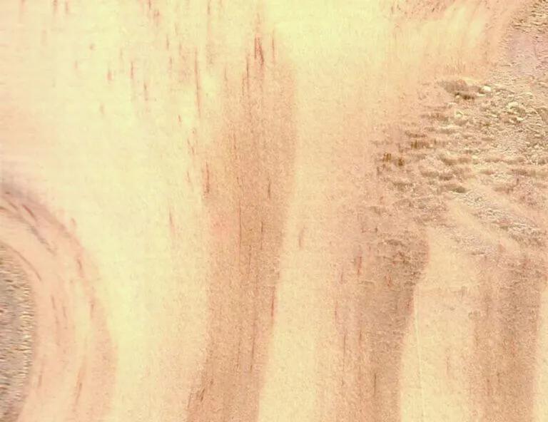 Close-up swatch of general purpose wood grain
