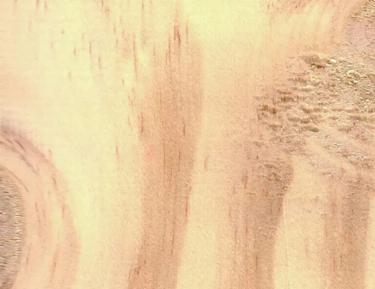 Close-up swatch of general purpose wood grain