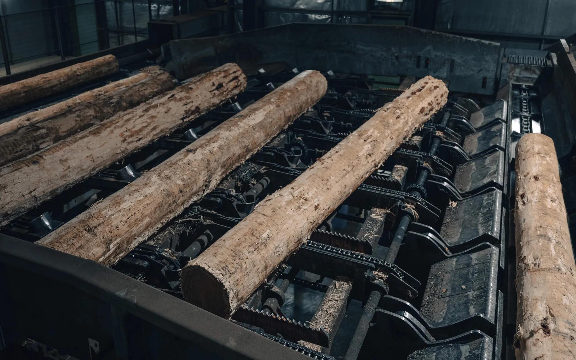 A long stack of freshly cut logs