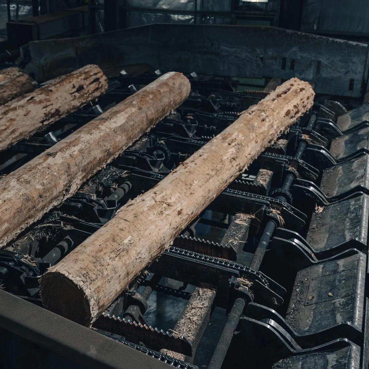 A long stack of freshly cut logs