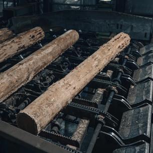 A long stack of freshly cut logs