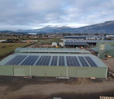 Large solar panel farm in open field under blue sky