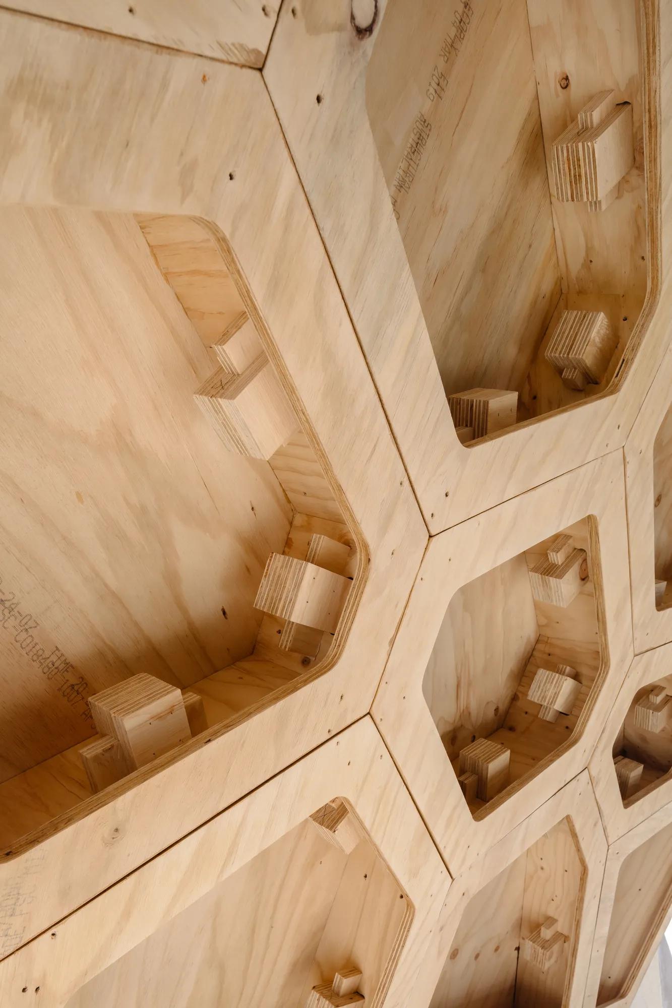 Ecoply plywood at University of Sydney HexBox project