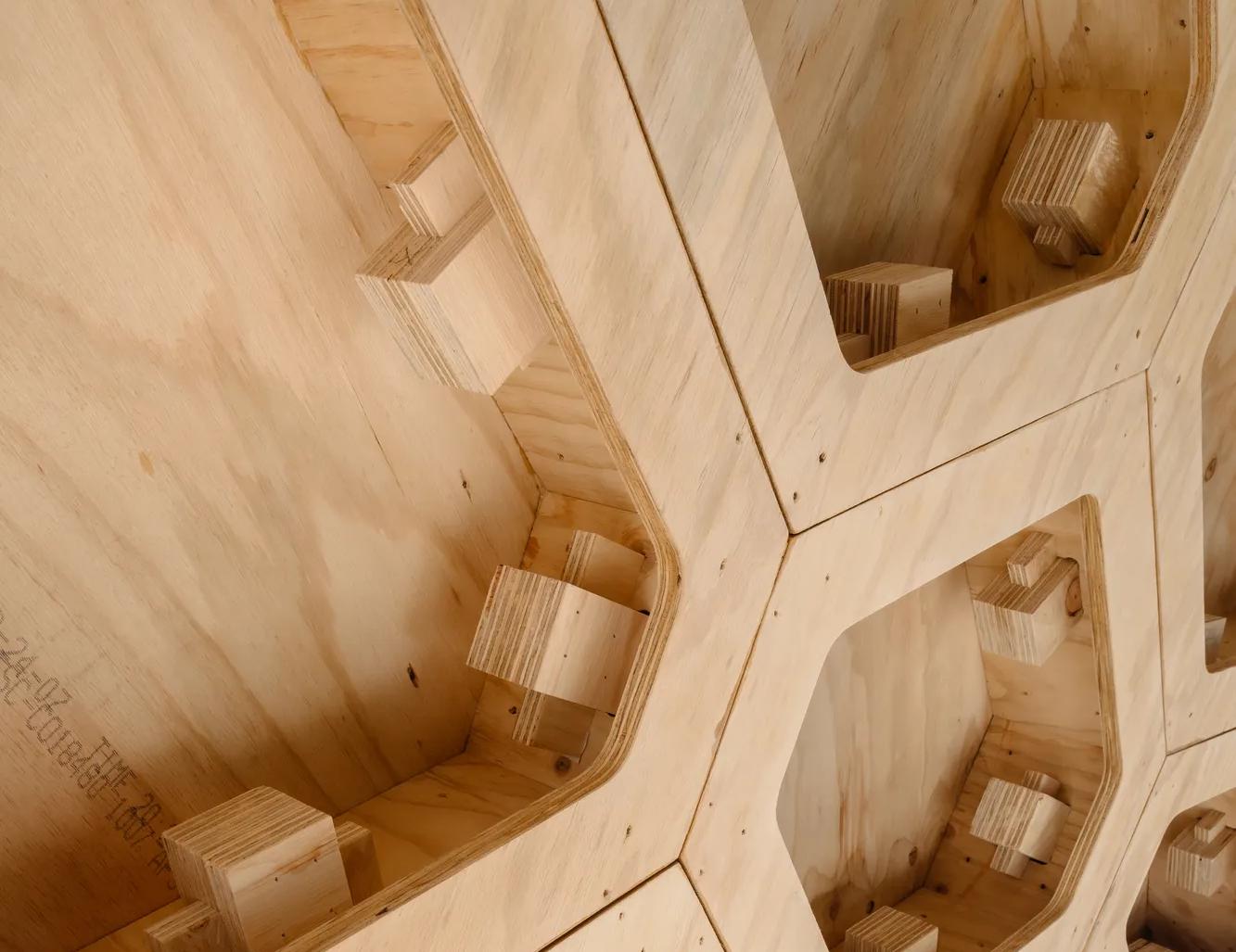 Ecoply plywood at University of Sydney HexBox project