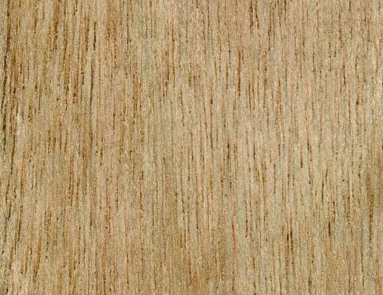 Close-up swatch of meranti wood grain