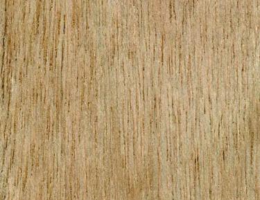 Close-up swatch of meranti wood grain