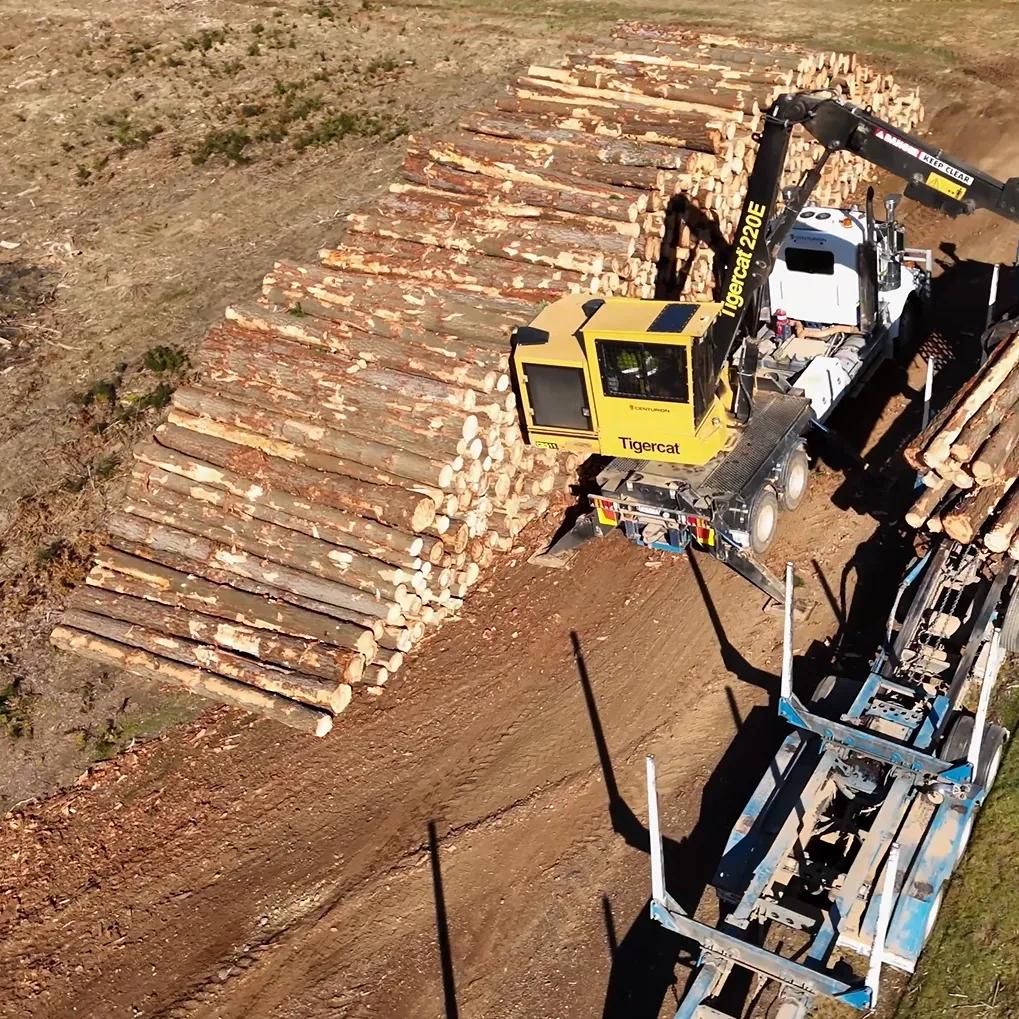Aerial view of logs being loaded onto a logging truck beside a timber stack