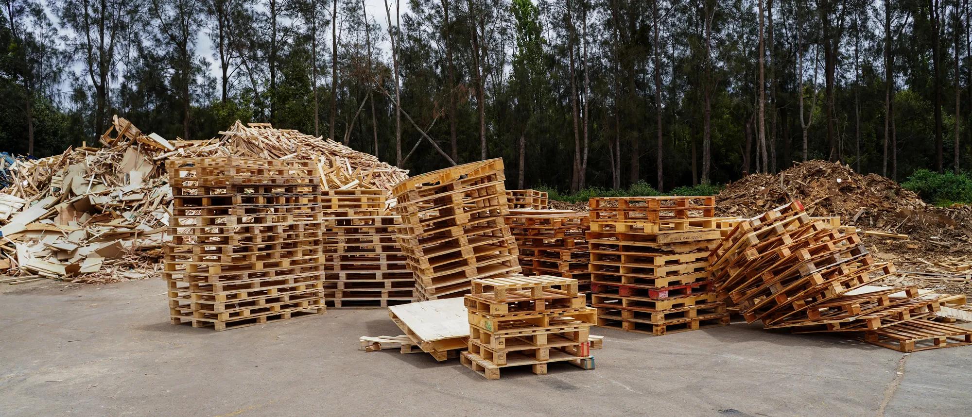 Stacks of wooden pallets arranged in an outdoor recycling yard, with large piles of scrap timber and wood waste in the background and tall trees surrounding the site.