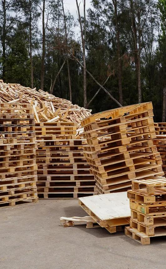 Stacks of wooden pallets arranged in an outdoor recycling yard, with large piles of scrap timber and wood waste in the background and tall trees surrounding the site.
