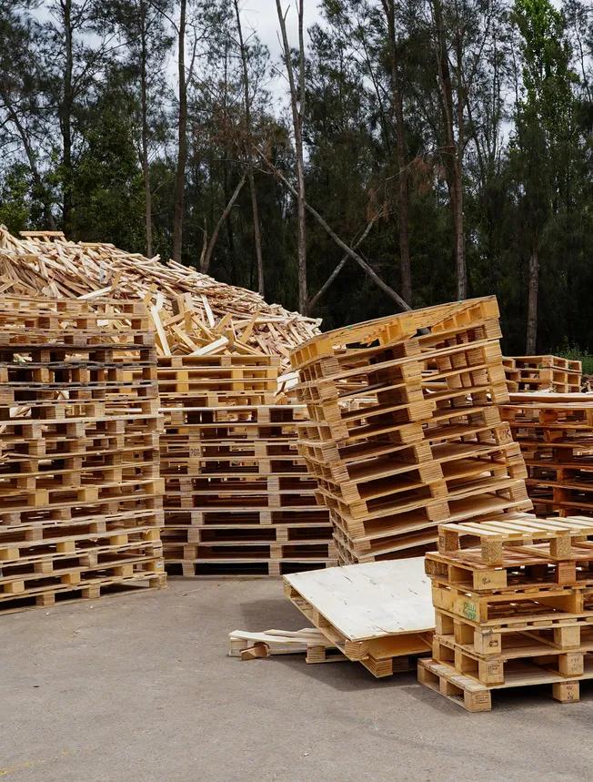 Stacks of wooden pallets arranged in an outdoor recycling yard, with large piles of scrap timber and wood waste in the background and tall trees surrounding the site.