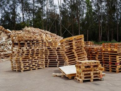 Stacks of wooden pallets arranged in an outdoor recycling yard, with large piles of scrap timber and wood waste in the background and tall trees surrounding the site.