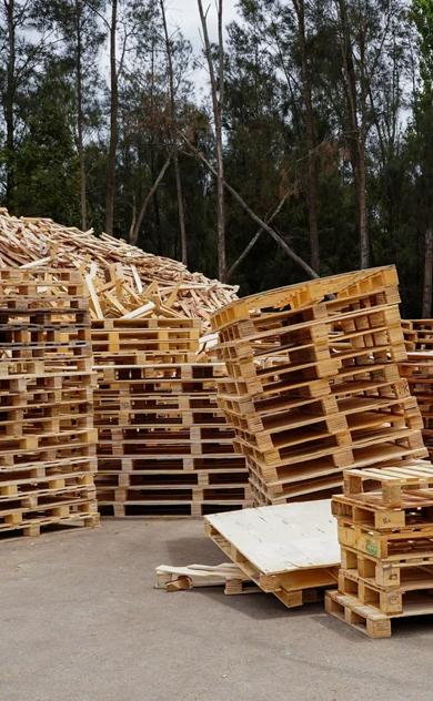 Stacks of wooden pallets arranged in an outdoor recycling yard, with large piles of scrap timber and wood waste in the background and tall trees surrounding the site.
