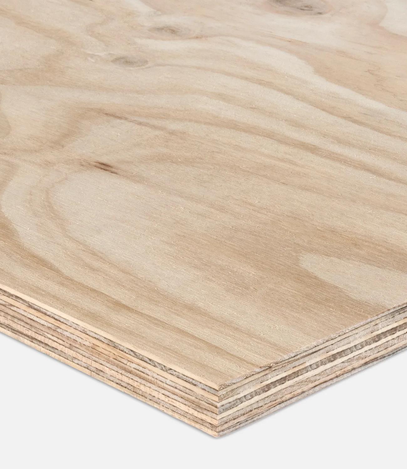Two sheets of plywood