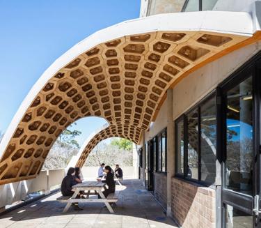 Ecoply plywood at University of Sydney HexBox project