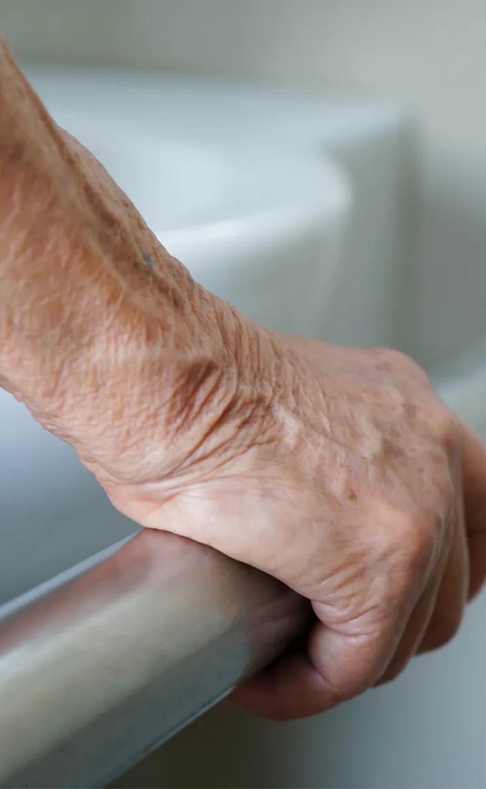 Hero banner image for Porta: Assisted Living Structapanel