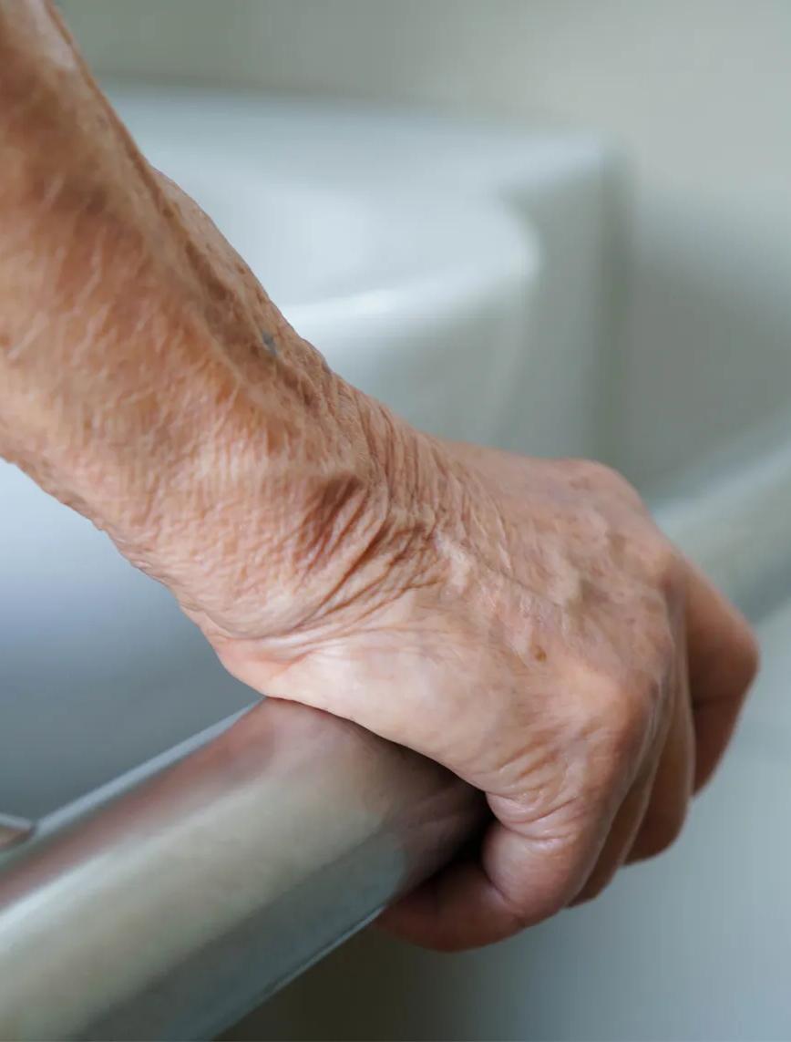 Hero banner image for Porta: Assisted Living Structapanel