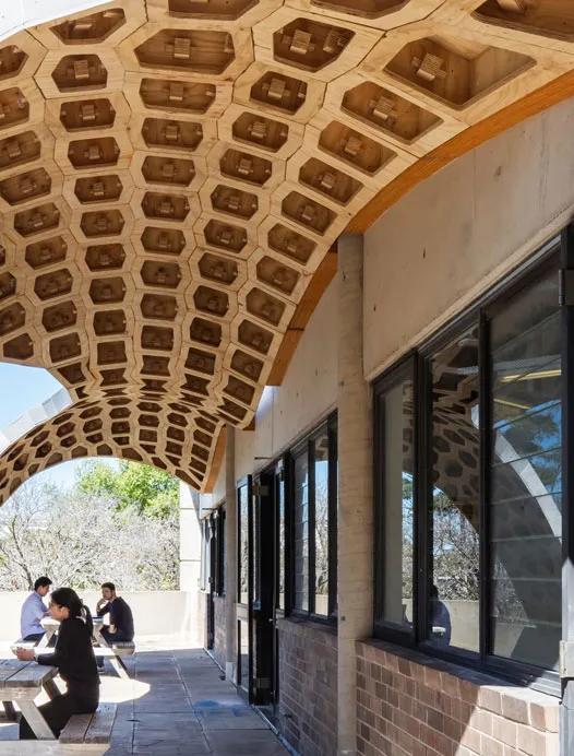A building covered in an intricate structure resembling a honeycomb pattern