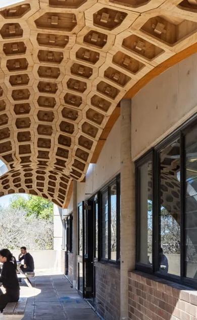 A building covered in an intricate structure resembling a honeycomb pattern