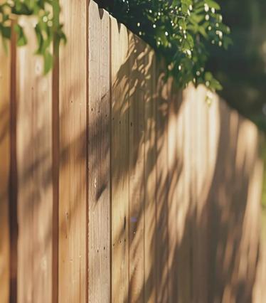 A wooden fence in the sunlight