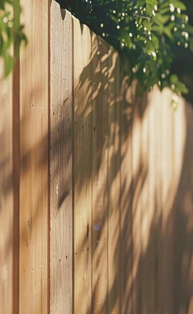 A wooden fence in the sunlight
