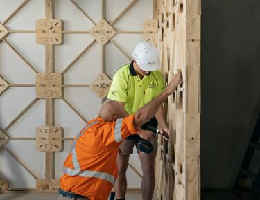 Ecoply plywood at XFrame project