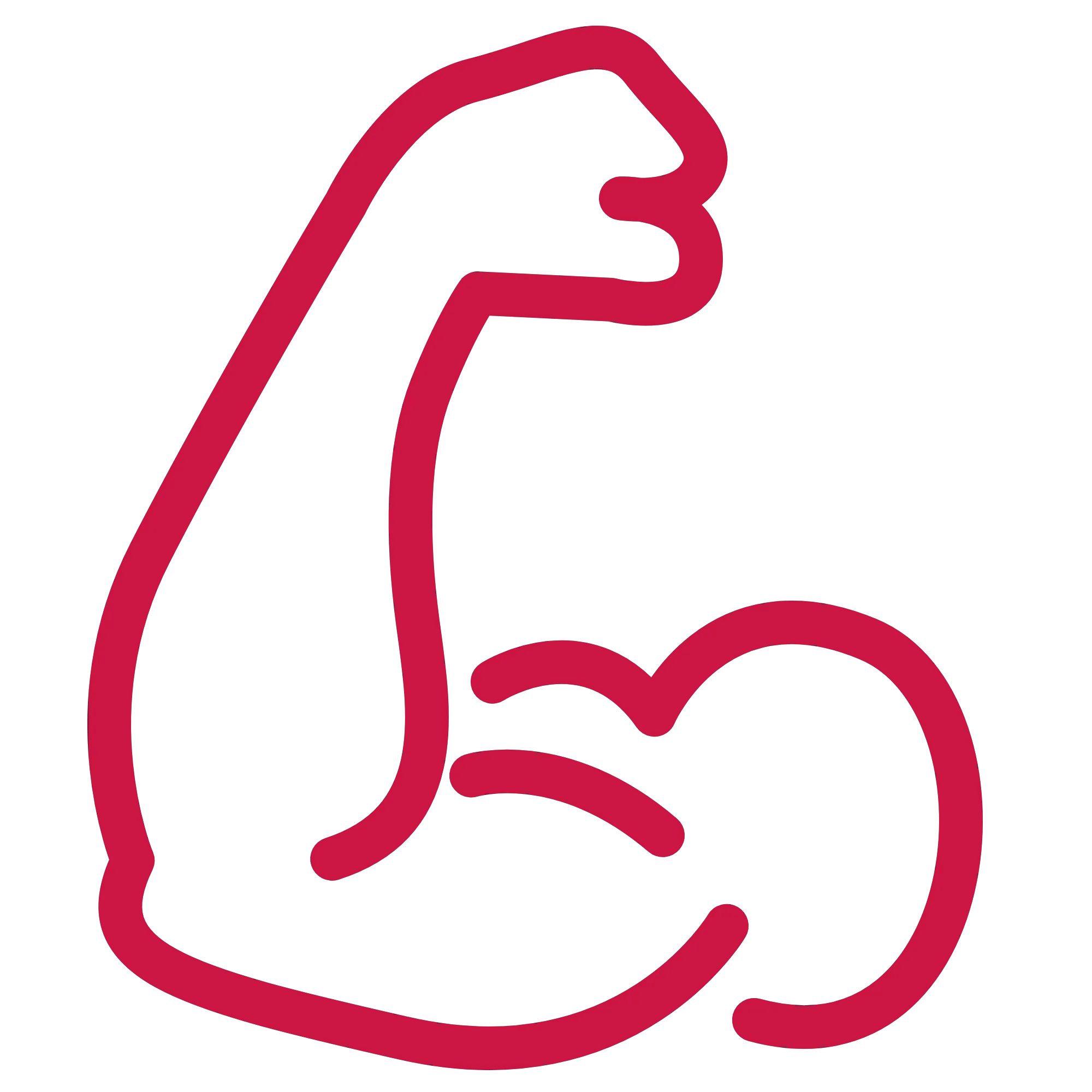 Reliability icon