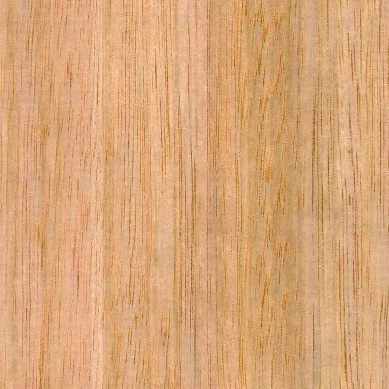 Close-up swatch of tasmanian oak wood grain