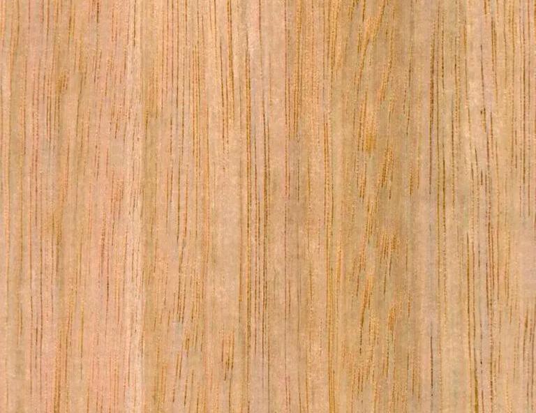 Close-up swatch of tasmanian oak wood grain