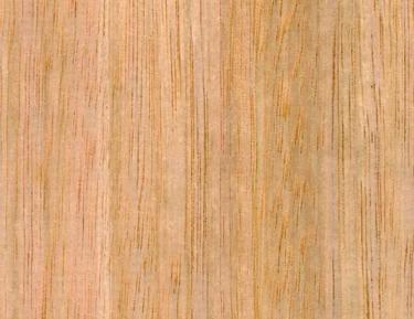 Close-up swatch of tasmanian oak wood grain