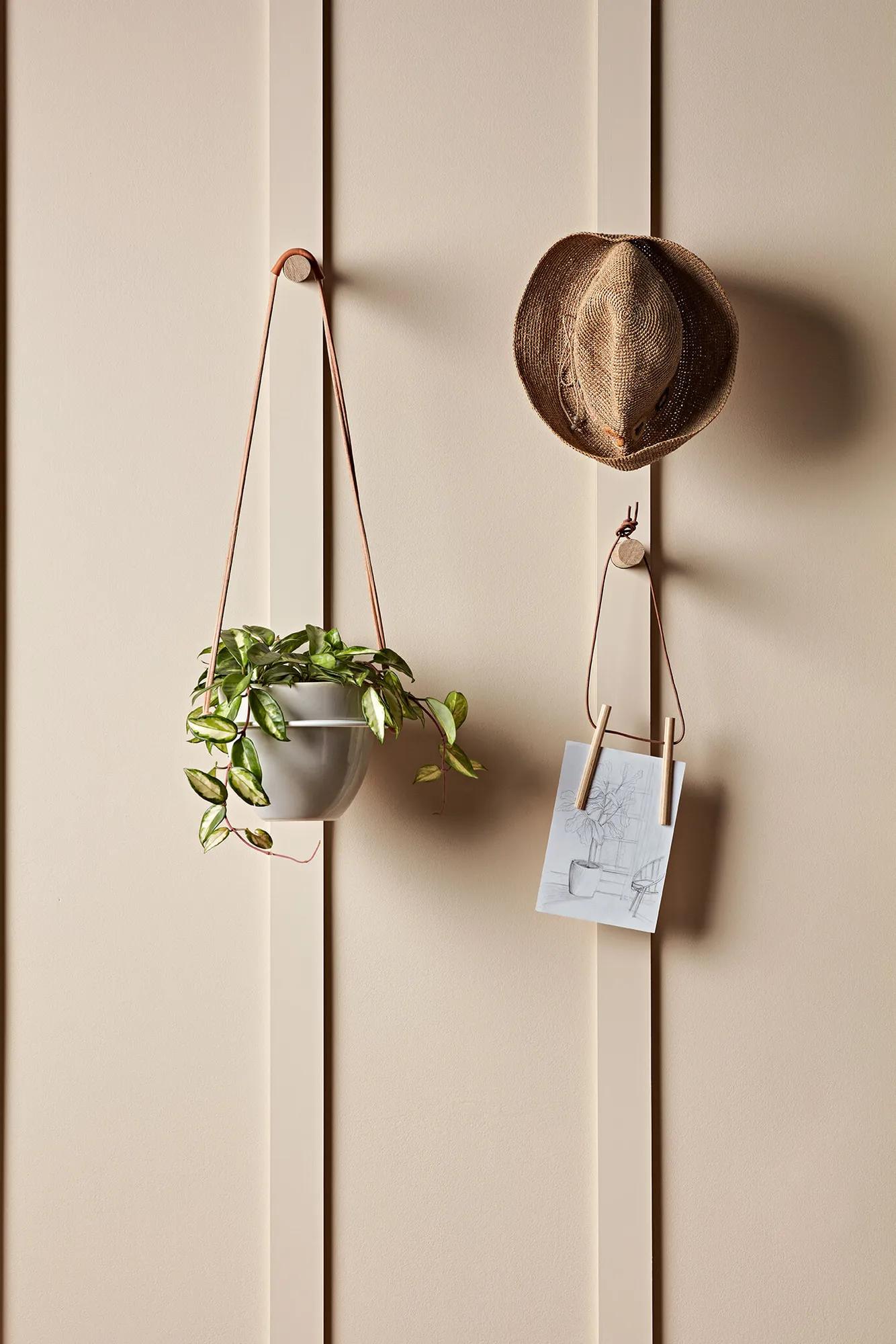 Wooden hangers holding a hat and a plant
