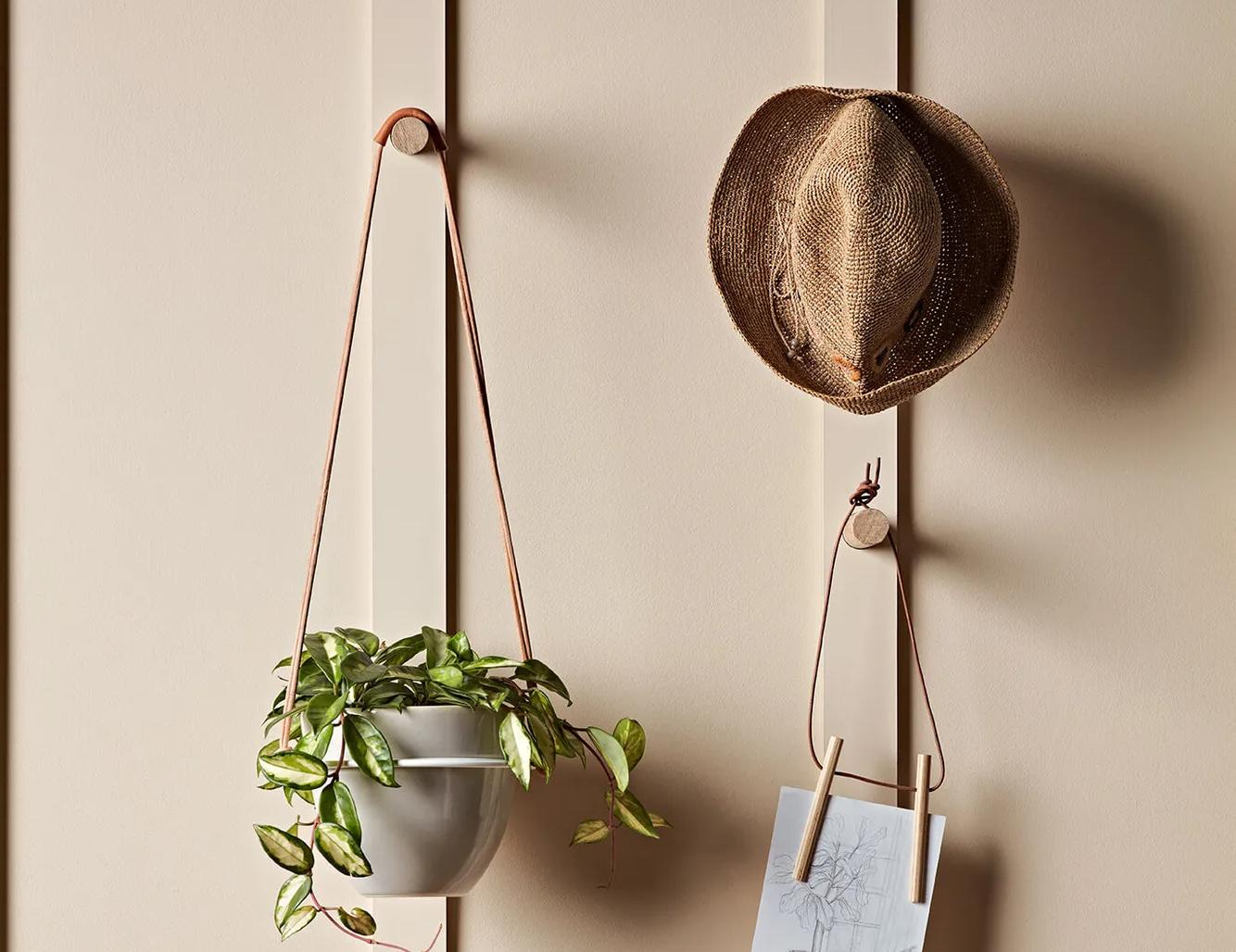Wooden hangers holding a hat and a plant