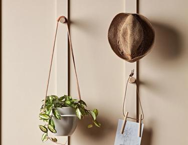 Wooden hangers holding a hat and a plant
