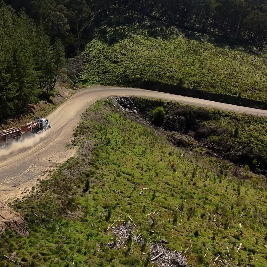 A logging truck travels along a dirt road through a forested hillside.